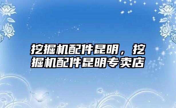 挖掘機配件昆明，挖掘機配件昆明專賣店