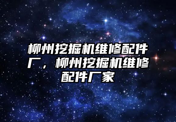 柳州挖掘機(jī)維修配件廠，柳州挖掘機(jī)維修配件廠家