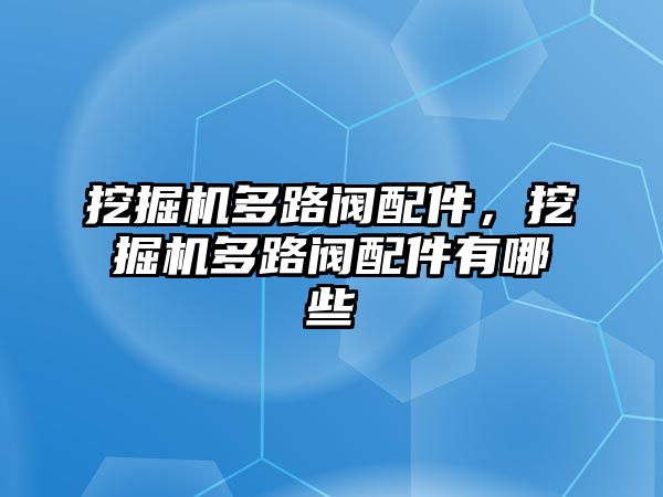 挖掘機(jī)多路閥配件，挖掘機(jī)多路閥配件有哪些