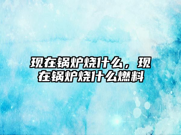 現(xiàn)在鍋爐燒什么，現(xiàn)在鍋爐燒什么燃料