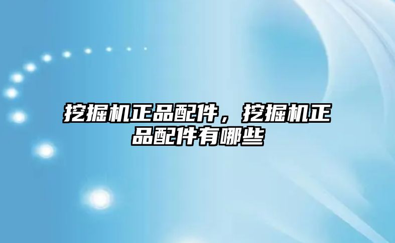 挖掘機正品配件，挖掘機正品配件有哪些