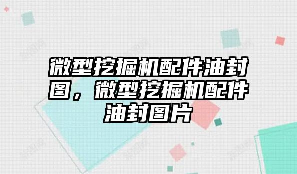 微型挖掘機配件油封圖，微型挖掘機配件油封圖片