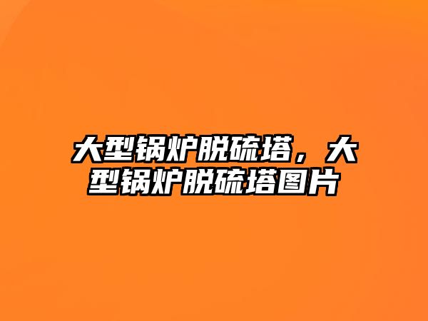 大型鍋爐脫硫塔，大型鍋爐脫硫塔圖片