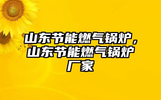 山東節(jié)能燃?xì)忮仩t，山東節(jié)能燃?xì)忮仩t廠家