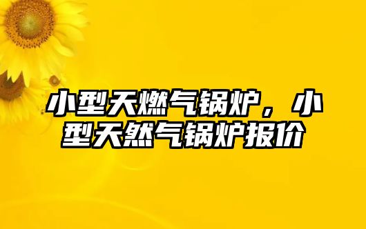 小型天燃?xì)忮仩t，小型天然氣鍋爐報(bào)價(jià)