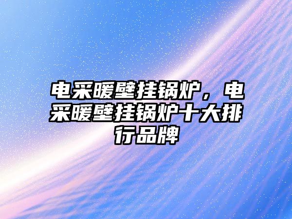 電采暖壁掛鍋爐，電采暖壁掛鍋爐十大排行品牌