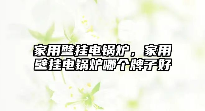 家用壁掛電鍋爐，家用壁掛電鍋爐哪個牌子好