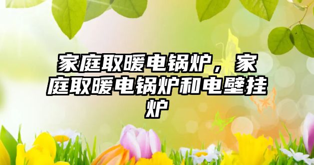 家庭取暖電鍋爐，家庭取暖電鍋爐和電壁掛爐