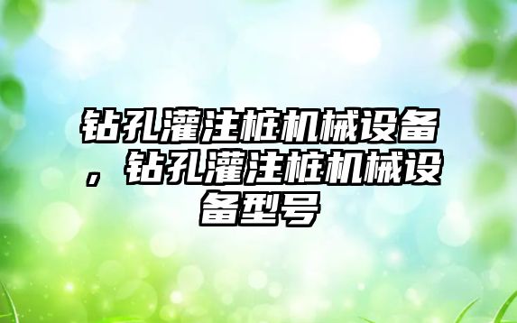 鉆孔灌注樁機械設備，鉆孔灌注樁機械設備型號