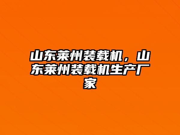 山東萊州裝載機，山東萊州裝載機生產廠家