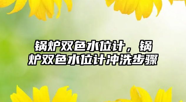 鍋爐雙色水位計，鍋爐雙色水位計沖洗步驟