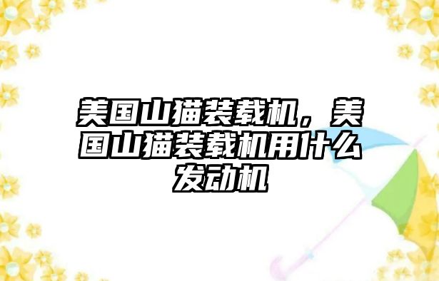 美國山貓裝載機(jī)，美國山貓裝載機(jī)用什么發(fā)動(dòng)機(jī)