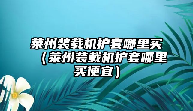 萊州裝載機(jī)護(hù)套哪里買(mǎi)（萊州裝載機(jī)護(hù)套哪里買(mǎi)便宜）