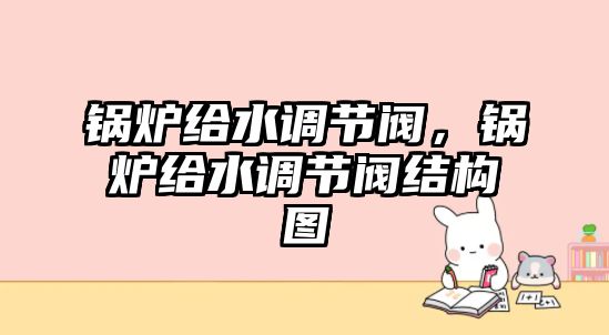 鍋爐給水調(diào)節(jié)閥，鍋爐給水調(diào)節(jié)閥結(jié)構(gòu)圖