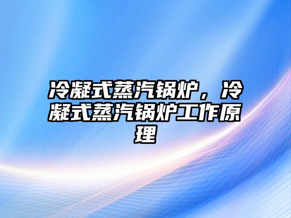 冷凝式蒸汽鍋爐，冷凝式蒸汽鍋爐工作原理