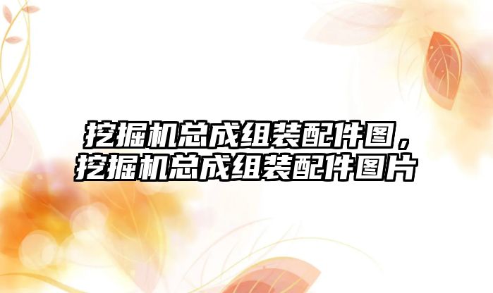 挖掘機總成組裝配件圖，挖掘機總成組裝配件圖片