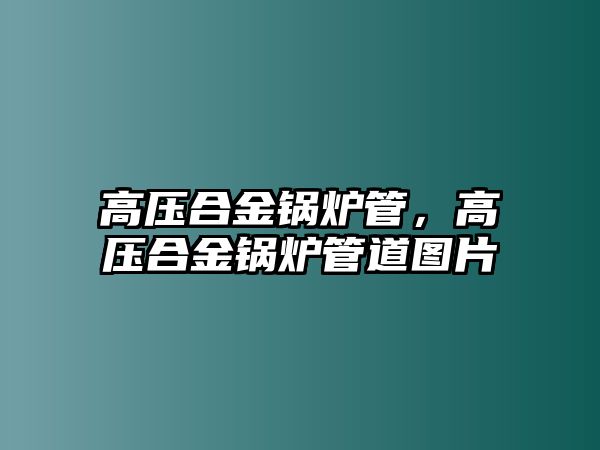 高壓合金鍋爐管，高壓合金鍋爐管道圖片