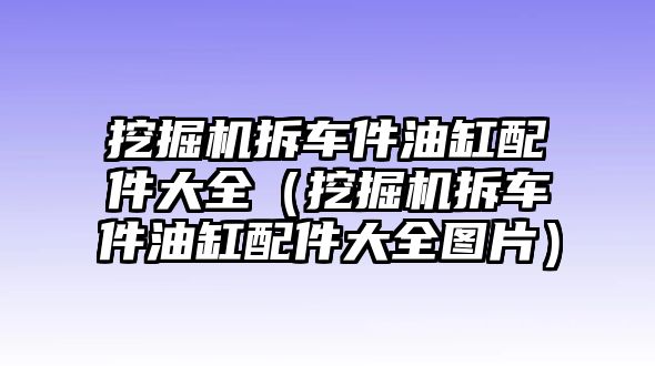 挖掘機拆車件油缸配件大全（挖掘機拆車件油缸配件大全圖片）