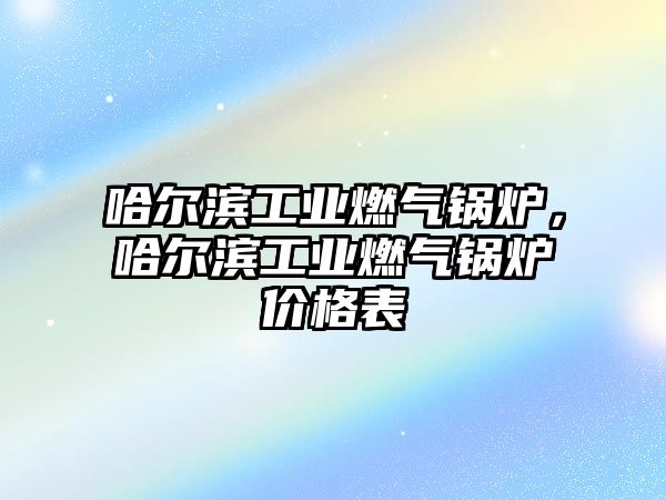 哈爾濱工業(yè)燃?xì)忮仩t，哈爾濱工業(yè)燃?xì)忮仩t價格表