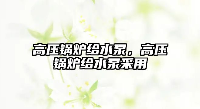 高壓鍋爐給水泵，高壓鍋爐給水泵采用