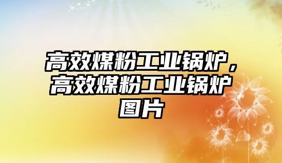 高效煤粉工業(yè)鍋爐，高效煤粉工業(yè)鍋爐圖片