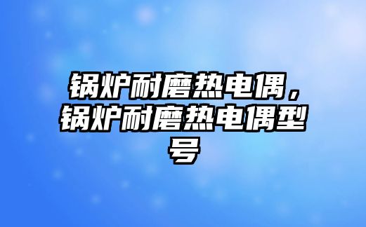 鍋爐耐磨熱電偶，鍋爐耐磨熱電偶型號