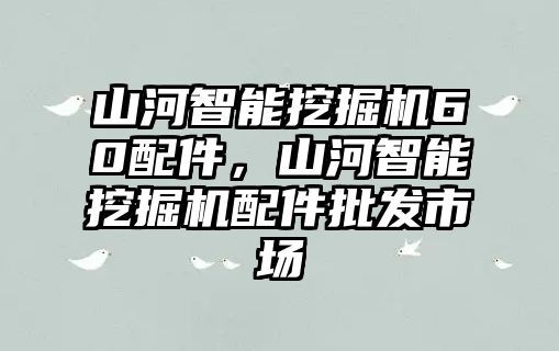 山河智能挖掘機(jī)60配件，山河智能挖掘機(jī)配件批發(fā)市場(chǎng)