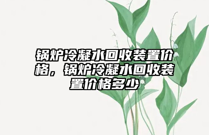 鍋爐冷凝水回收裝置價(jià)格，鍋爐冷凝水回收裝置價(jià)格多少