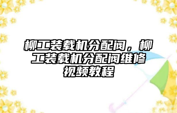 柳工裝載機分配閥，柳工裝載機分配閥維修視頻教程