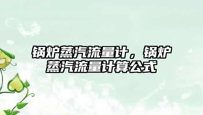 鍋爐蒸汽流量計，鍋爐蒸汽流量計算公式