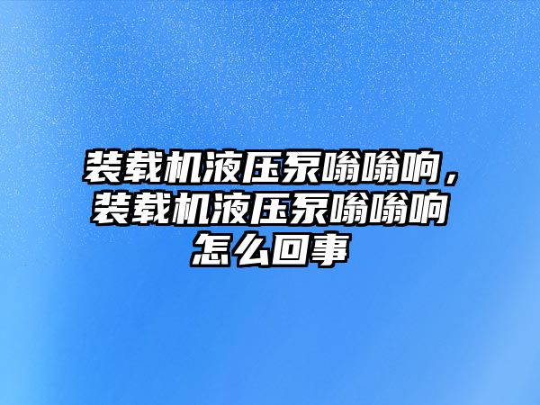 裝載機液壓泵嗡嗡響，裝載機液壓泵嗡嗡響怎么回事