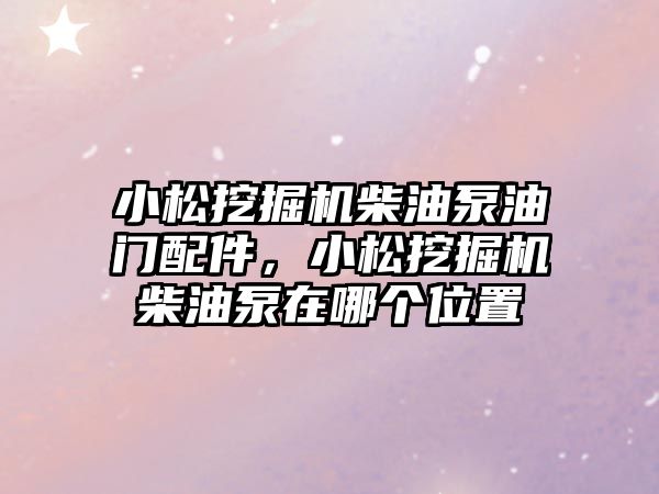 小松挖掘機柴油泵油門配件，小松挖掘機柴油泵在哪個位置