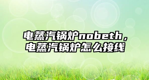 電蒸汽鍋爐nobeth，電蒸汽鍋爐怎么接線