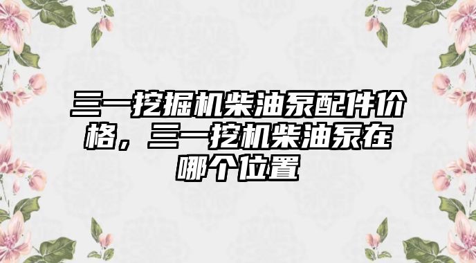 三一挖掘機(jī)柴油泵配件價格，三一挖機(jī)柴油泵在哪個位置