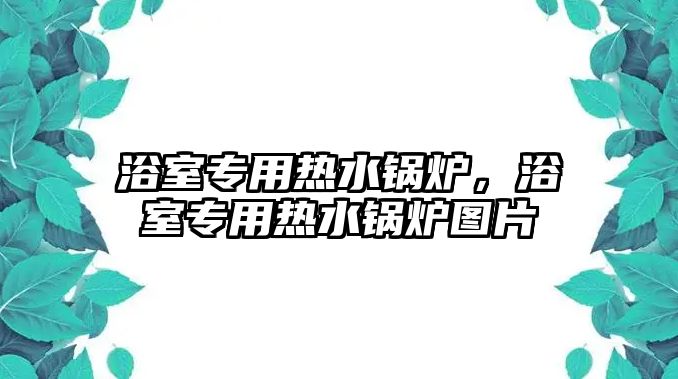 浴室專用熱水鍋爐，浴室專用熱水鍋爐圖片