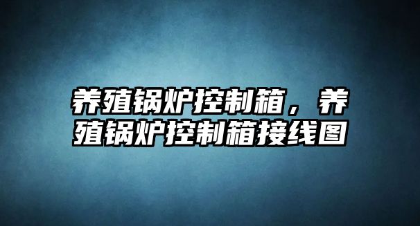 養(yǎng)殖鍋爐控制箱，養(yǎng)殖鍋爐控制箱接線圖