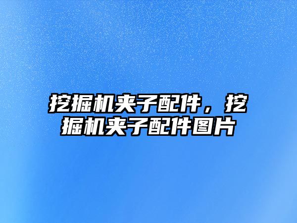 挖掘機夾子配件，挖掘機夾子配件圖片