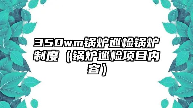 350wm鍋爐巡檢鍋爐制度（鍋爐巡檢項目內(nèi)容）