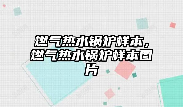 燃氣熱水鍋爐樣本，燃氣熱水鍋爐樣本圖片