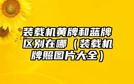 裝載機黃牌和藍(lán)牌區(qū)別在哪（裝載機牌照圖片大全）