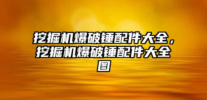 挖掘機爆破錘配件大全，挖掘機爆破錘配件大全圖