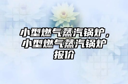 小型燃?xì)庹羝仩t，小型燃?xì)庹羝仩t報(bào)價(jià)