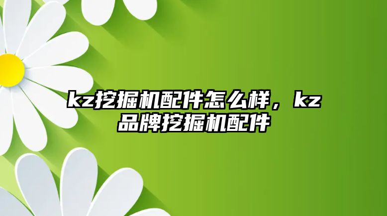 kz挖掘機配件怎么樣，kz品牌挖掘機配件