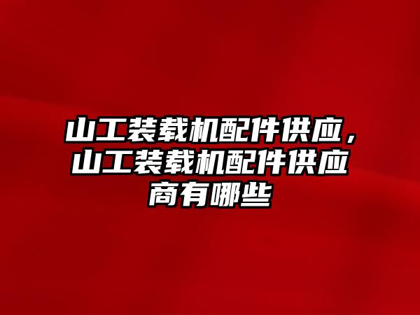 山工裝載機配件供應(yīng)，山工裝載機配件供應(yīng)商有哪些