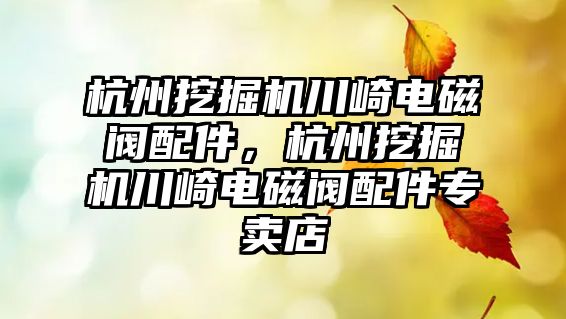 杭州挖掘機川崎電磁閥配件，杭州挖掘機川崎電磁閥配件專賣店