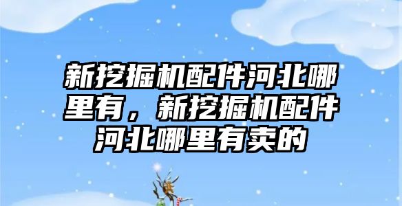 新挖掘機配件河北哪里有，新挖掘機配件河北哪里有賣的