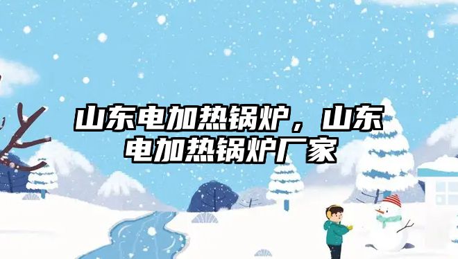 山東電加熱鍋爐，山東電加熱鍋爐廠家