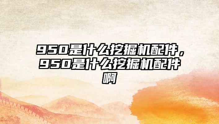 950是什么挖掘機配件，950是什么挖掘機配件啊