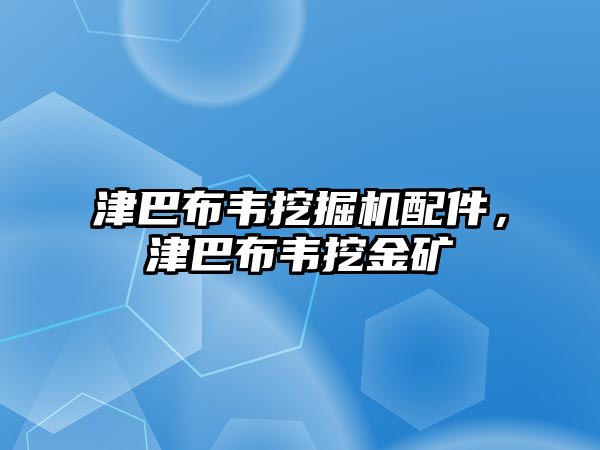 津巴布韋挖掘機(jī)配件，津巴布韋挖金礦