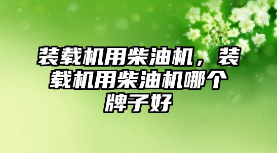 裝載機用柴油機，裝載機用柴油機哪個牌子好